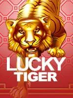 Lucky-Tiger